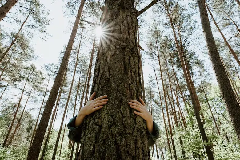 Persona abrazando a un árbol.