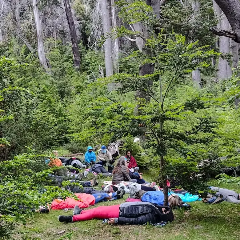 Grupo de personas haciendo Baño de Bosque.